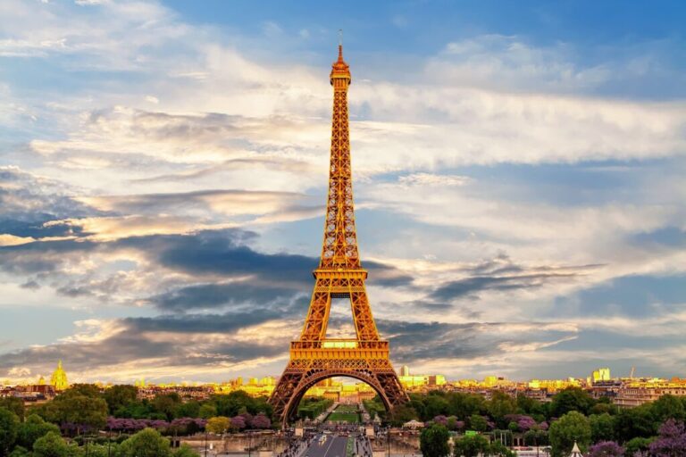 France study visa consultant