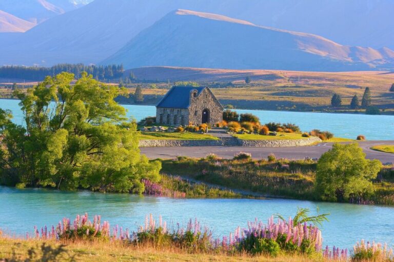new zealand study visa consultant