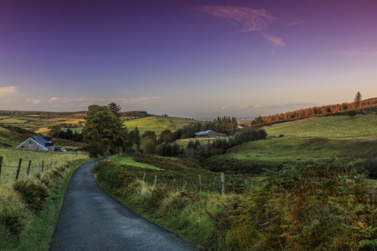 ireland study visa consultants